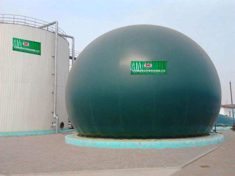 Projet de production électrique au biogaz agricole et pastoral de Hebei Kaiyuan