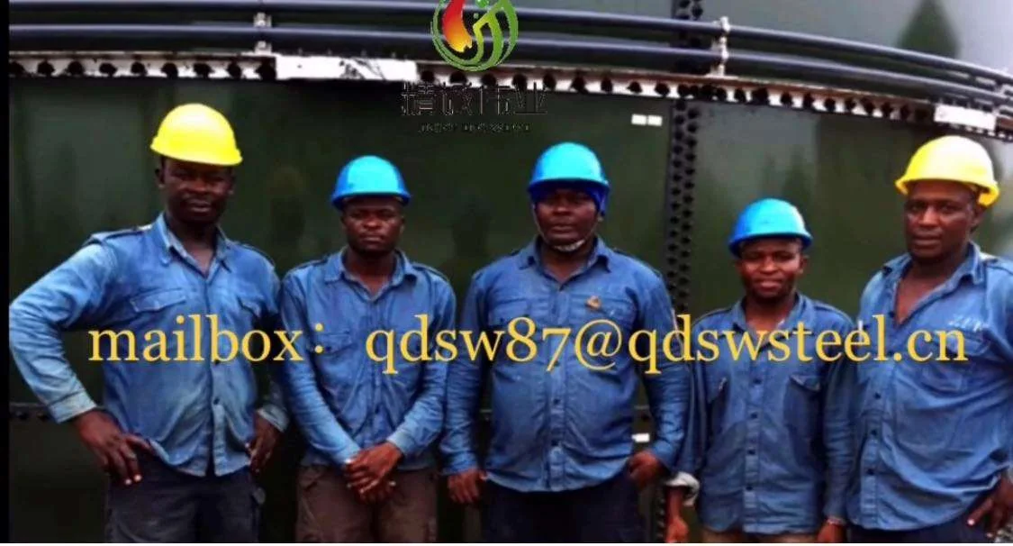 Projet de production électrique au biogaz dans une ferme au Liberia