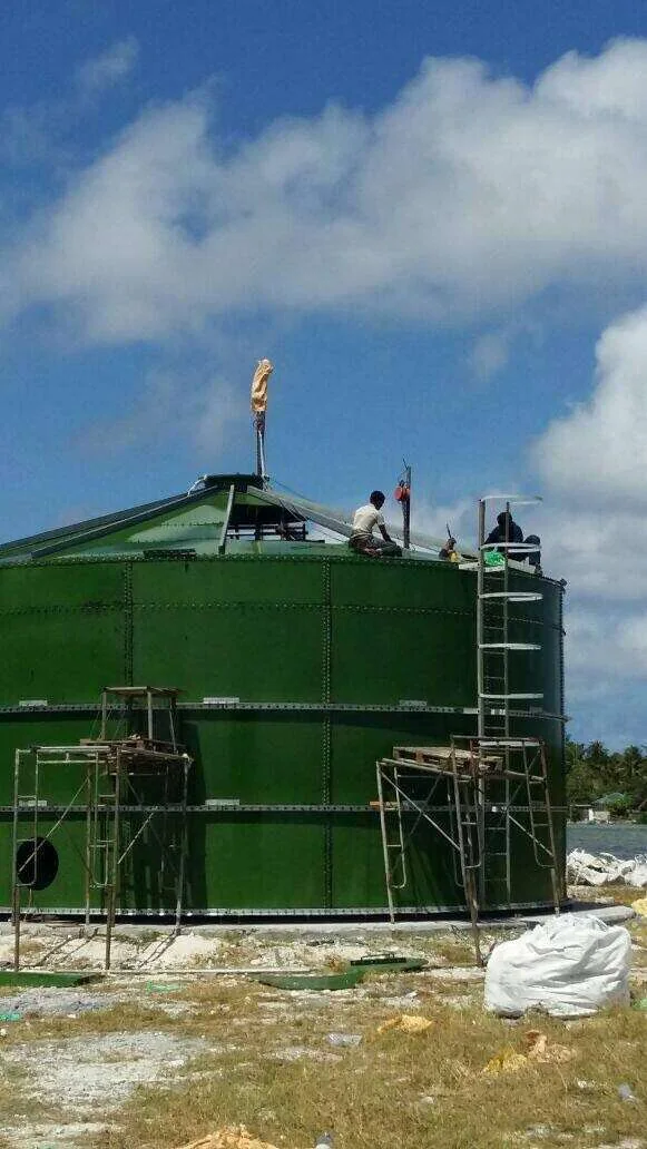 Projet maldivien de traitement des déchets et production électrique au biogaz