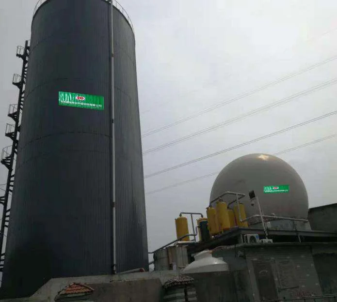 Projet biogaz de la papeterie Zhejiang Fengda