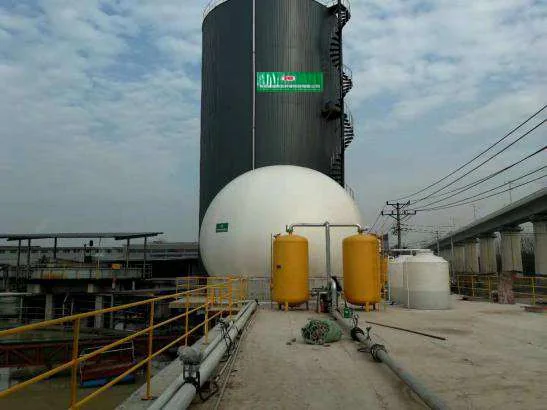 Projet biogaz de la papeterie Zhejiang Wenfeng