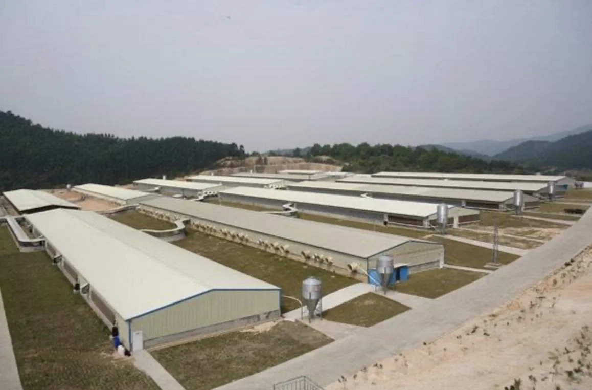 Projet de bâtiment avicole